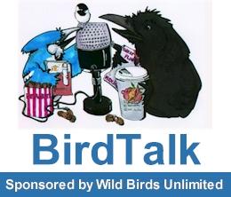 BirdTalk