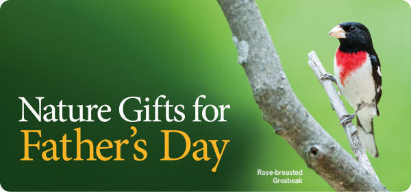 Father's Day