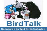 BirdTalk Fitted